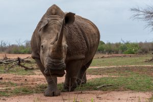 Secure Big Small Game Strategy: Pro Tips to Win in India (2027)
